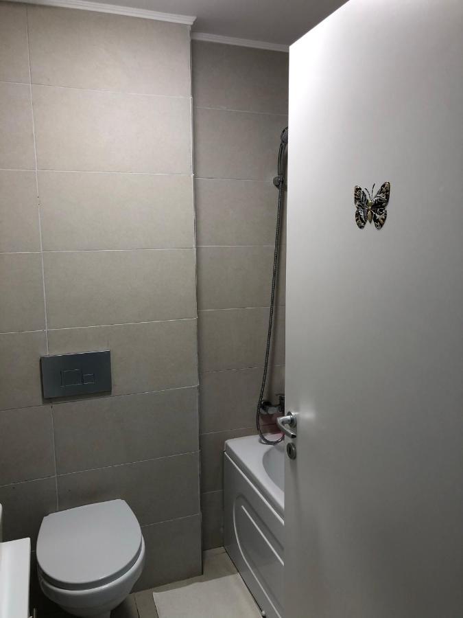 Apartmán Dora High Life - North Stefanestii de Jos Exteriér fotografie