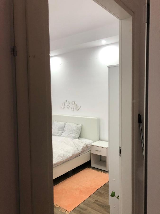 Apartmán Dora High Life - North Stefanestii de Jos Exteriér fotografie